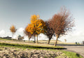 Autumn on Calton Hill