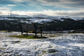 Bench with a view 2014