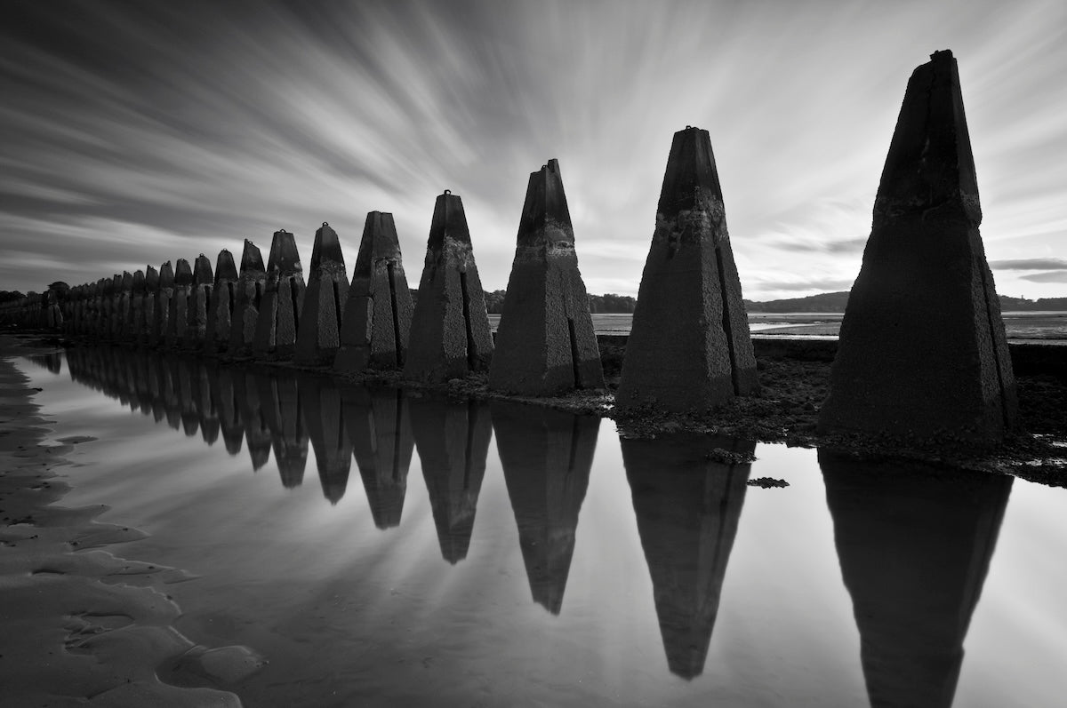 Dragons teeth mono