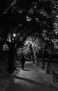 Meadows at night