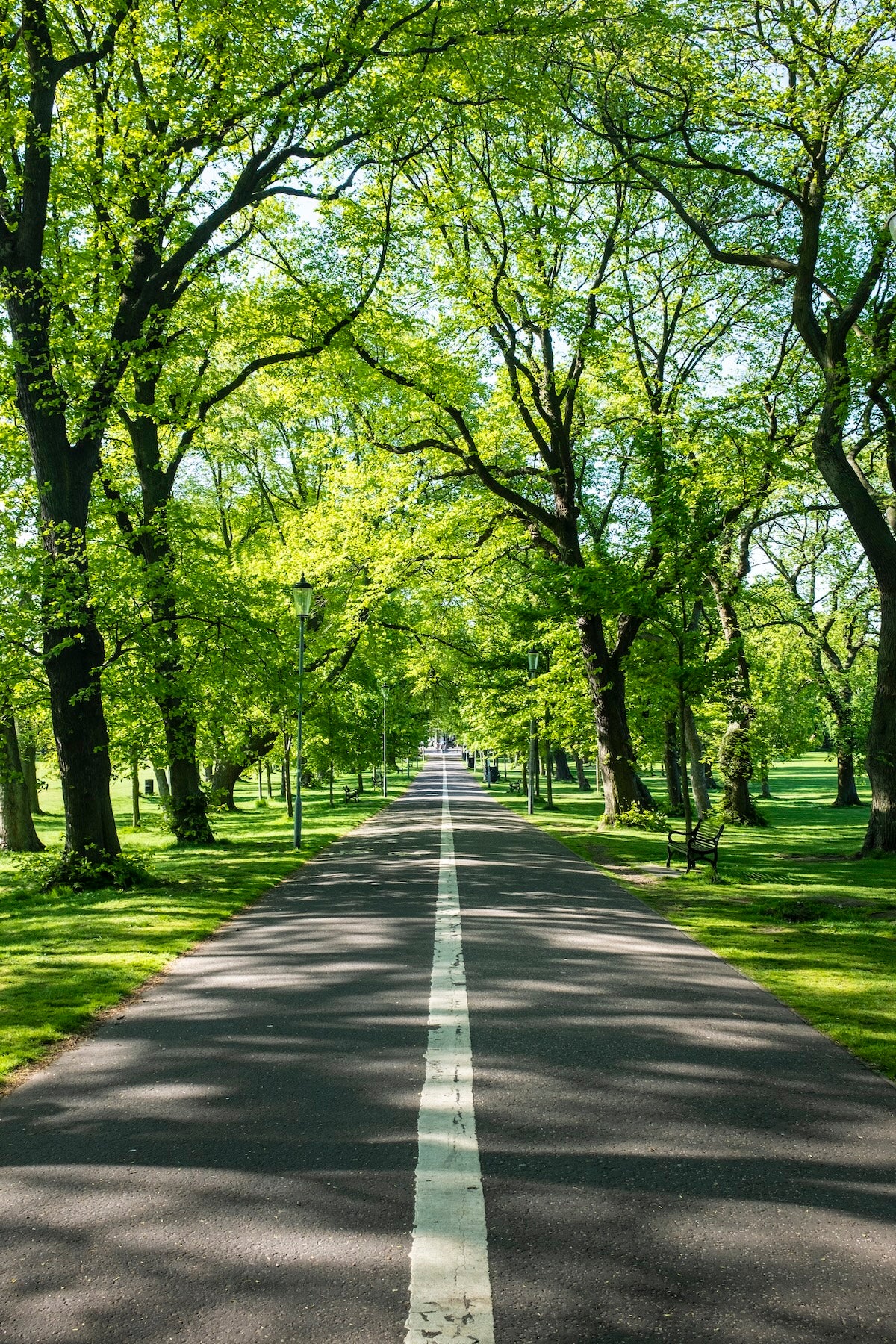 Middle Meadow Walk